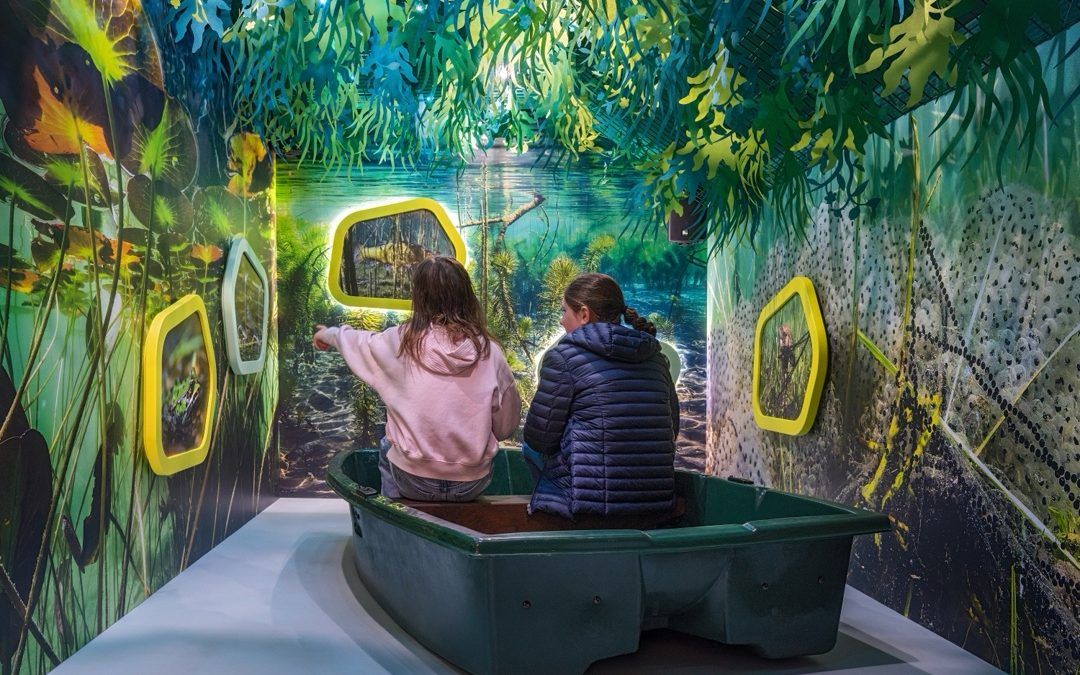 La Maison des Étangs (Saint-Viâtre)