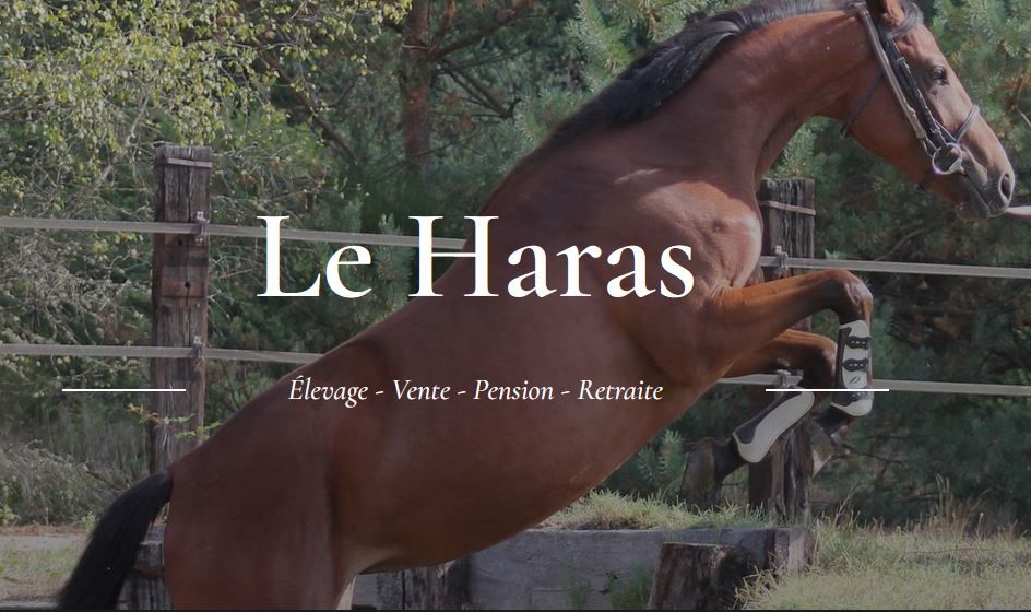 Une passion familiale, au cœur de la Sologne